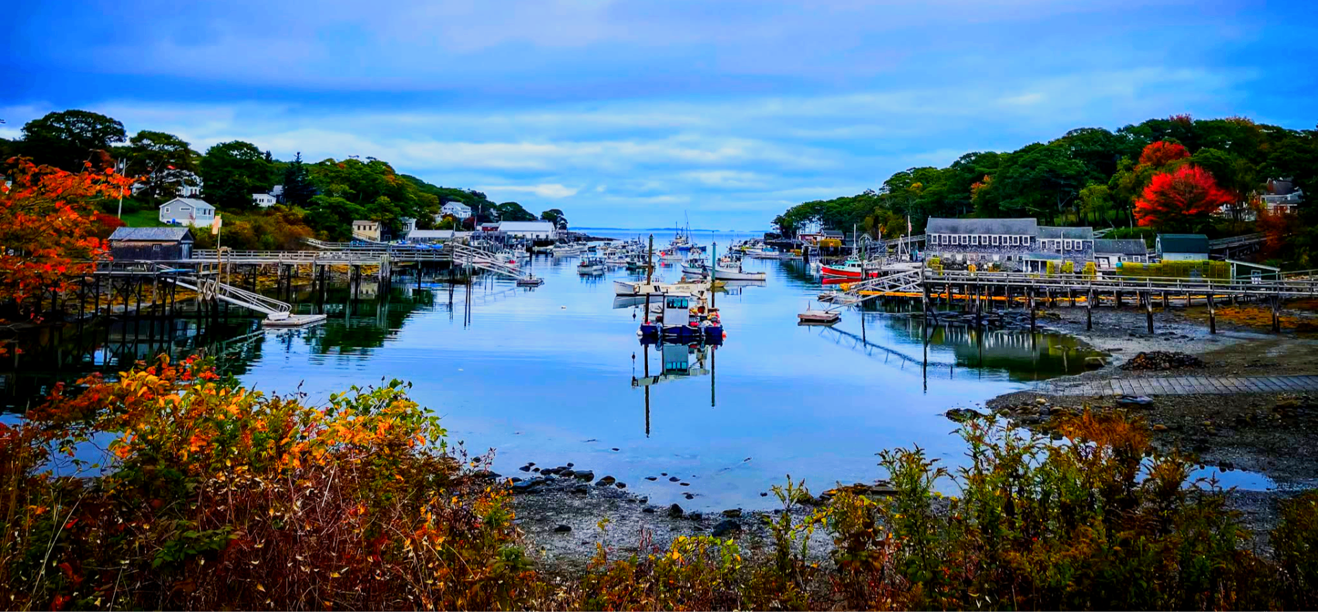 Harbor in autumn